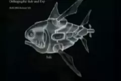 mol_concept_pirahnaorthoside