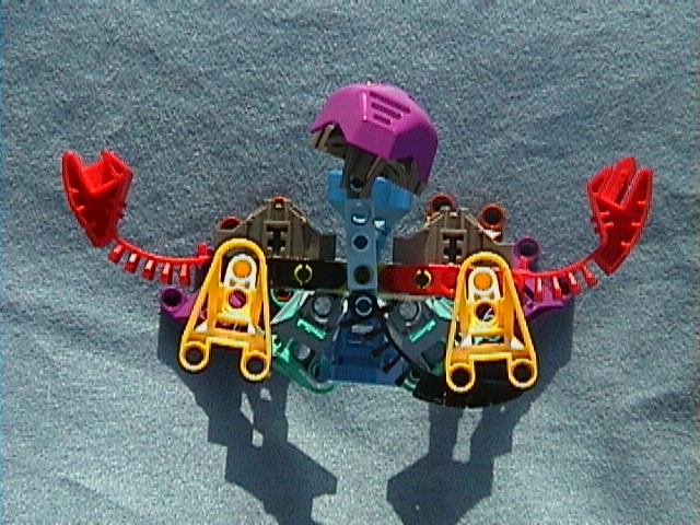 TOHUNGA NUI Top View