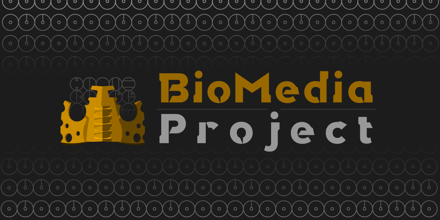 BioMedia Project – Mask of Destiny